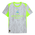Manchester City Third Maillot 2025/26 Gris