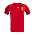 Retro Espagne Domicile Maillot 2008