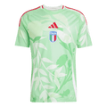 Italie Extérieur Maillot 2025 - Euro Féminin Grande Taille