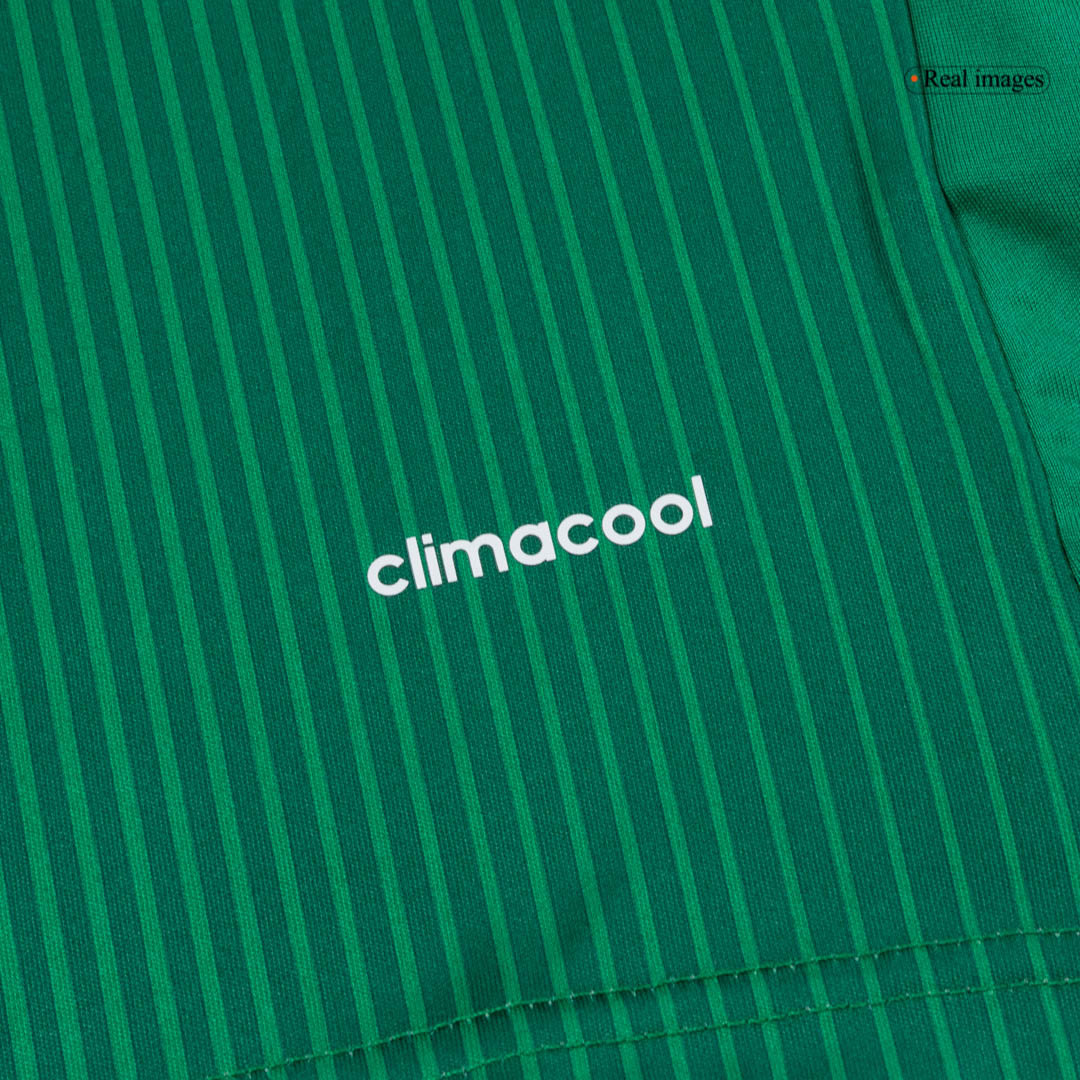 Retro Mexique Domicile Maillot 2014 Vert