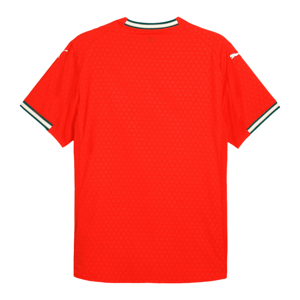 Portugal Domicile Maillot 2025 Authentique