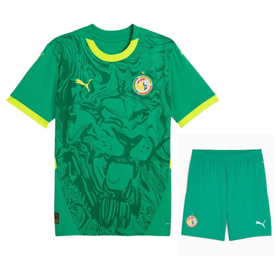 Maillot Kit Enfant Sénégal Extérieur 2024 2025 Vert