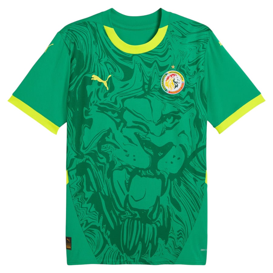 Maillot Sénégal Homme Extérieur 2024 2025