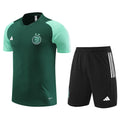 Maillot Training Algérie Vert Homme 2023-2024 | Foot Sport